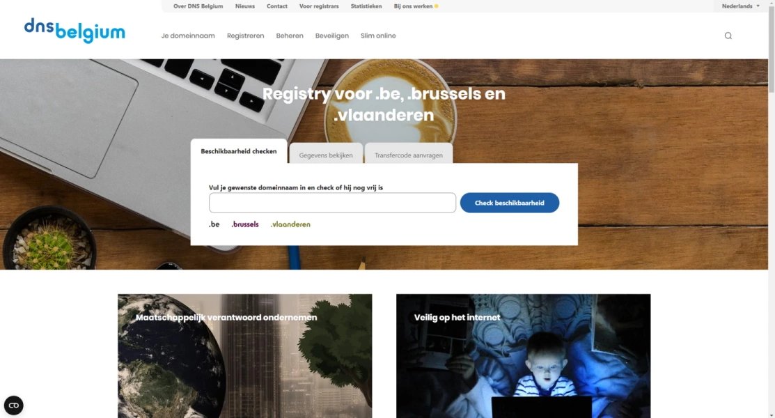 Wat bevat het onderhoudsplan voor jouw website? image