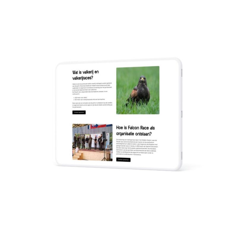 Falcon Race - Duidelijke en professionele website door Billie Branding
