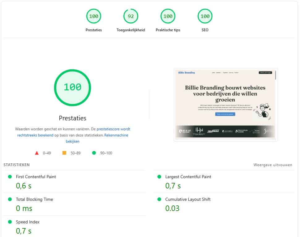 Google Pagespeed - Billie Branding haalt perfecte score