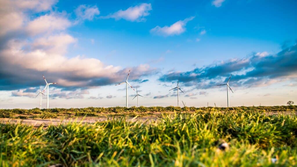 Webdesign & Energieleverancier - Windmolens